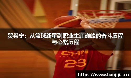 贺希宁：从篮球新星到职业生涯巅峰的奋斗历程与心路历程